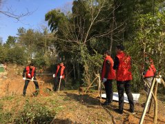 义务植树添新绿 环保助力树新风(图文)